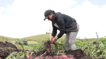 Actividades de agricultura en el ISE 2025. / Foto: X MinAgricultura.