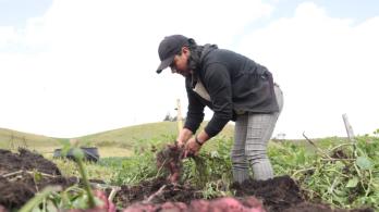 Actividades de agricultura en el ISE 2025. / Foto: X MinAgricultura.