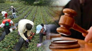 Jurisdicción agraria. / Foto: Senado.