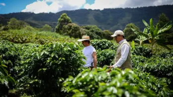 Tasa de desempleo baja en Colombia. / Foto: MinAgricultura.