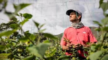Empleo en Colombia. / Foto: Radio Nacional de Colombia.
