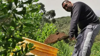 Gobierno desembolsó $48,1 billones en créditos agropecuarios durante 2025, superando la meta en 12%