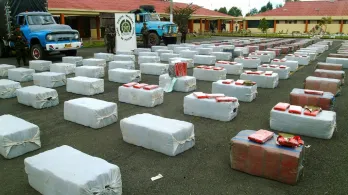 Incautan más de una tonelada de marihuana que iba rumbo a Ecuador.