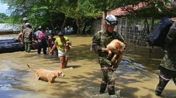Animales rescatados en Córdoba. / Foto: Ejército.