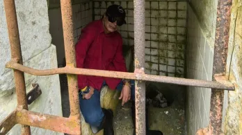 Cárcel Isla Gorgona: Petro propone comisión de la verdad.