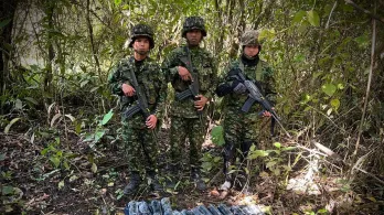 Ejército destruyó 43 explosivos en zona rural de Rovira, Tolima.