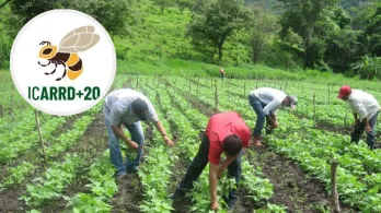 ICARRD+20. / Foto: FAO.