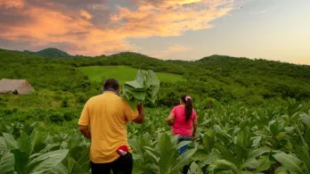 Agencia Nacional de Tierras recupera 427 hectáreas en Antioquia