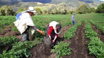 Gobierno pide acelerar la Jurisdicción Agraria ante la Corte Constitucional para resolver conflictos de tierras
