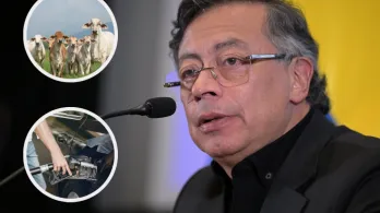 Petro sobre medidas de exportación de carne y gasolina. / Fotos: AFP, Radio Nacional y Freepik.