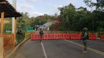 Caen los cultivos de coca en la frontera con Ecuador
