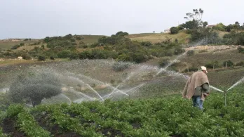 imagen de aspersión de agua en un cultivo en Boyacá
