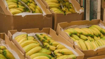 Exportaciones en febrero. / Foto: MinAgricultura.