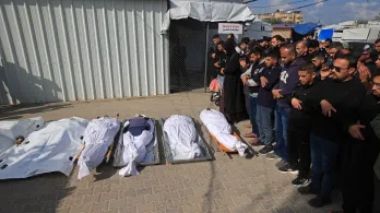 Genocidio en Palestina: más de 72.000 muertos en Gaza