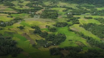 Reforma Agraria: ANT pide agilizar entrega de tierras en Valle