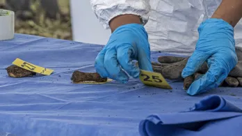 Hallan más de mil fragmentos óseos en lago de Ciudad de México