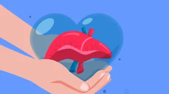 "55 Vidas": el proyecto que busca transformar el sistema de donación de órganos en Colombia llegó a su debate final. Foto: Defensoría del Pueblo