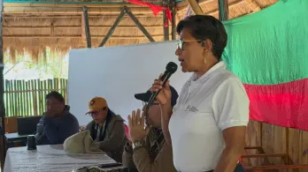 Gobierno ordena medidas especiales para proteger a 31.000 indígenas en el Cauca