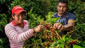Pobreza multidimensional. / Foto: MinAgricultura.