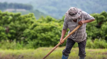 Más de 1,8 millones de hectáreas devueltas: la reforma agraria le cambia la vida a medio millón de víctimas del conflicto