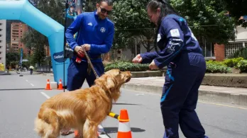 Las ciclovías de Bogotá contarán con nuevas estaciones para mascotas y sus cuidadores, con actividades de bienestar, recreación y nutrición animal disponibles desde mayo y hasta final de año.