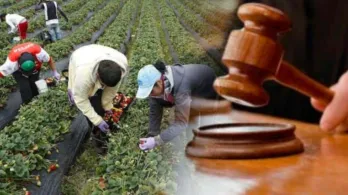 Firmantes de paz piden al Congreso para que apruebe la Jurisdicción Agraria, una deuda histórica con el campo colombiano