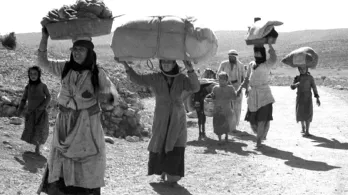 La misión clandestina que salvó más de 30 millones de archivos de la historia palestina en medio del genocidio