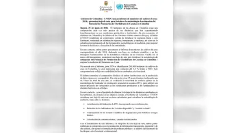 Cultivos de coca mantienen desaceleración, según Gobierno y ONU