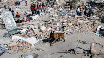 El tiempo para hallar sobrevivientes se agota en Venezuela