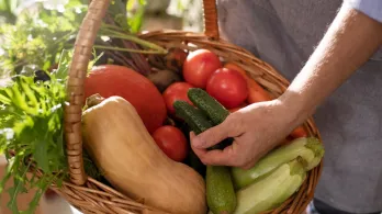 Precios de alimentos en Colombia se mantuvieron estables: Dane
