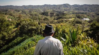 campesino mayor de espaldas, mirando hacia el campo en el horizonte