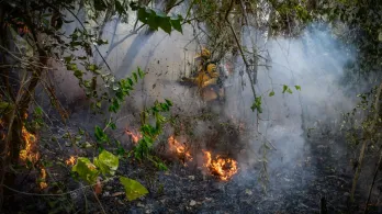 Colombia en alerta por incendios: 114 municipios bajo amenaza