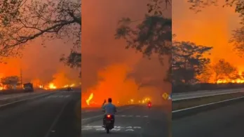 Incendios forestales en Tolima dejan cerca de 20 mil hectáreas afectadas
