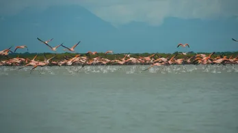 Gobierno nacional actualiza la Política Nacional del Agua con enfoque de protección y justicia ambiental