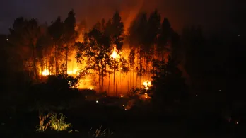 Colombia mantiene la alerta por los incendios forestales.