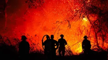 Incendios en Tolima no dan tregua: el corregimiento  de Gualanday concentra la emergencia