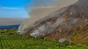 Más de $9.000 millones y ayudas para el campo: así será la recuperación del Tolima tras los incendios forestales