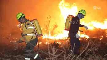 Una colilla, una fogata, un desastre: así puede prevenir incendios forestales