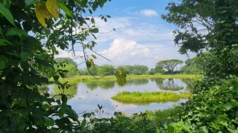 Valle del Cauca suma 2.580 hectáreas a su red de áreas protegidas