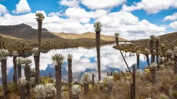 En los Andes, El Niño seca el agua de la que depende el 70 % de los colombianos