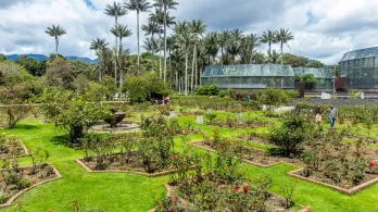 Cómo ser aliado gastronómico con el Jardín Botánico de Bogotá