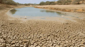 No te pierdas hoy el especial sobre los retos en Colombia ante el fenómeno El Niño por RTVC