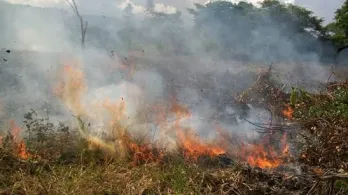 UNGRD activa plan nacional para combatir incendios forestales en 18 departamentos