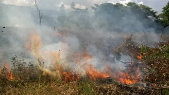 IDEAM declara fenómeno de El Niño en Colombia