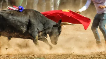 Manizales aplaza Corridas De Toros por normativa nacional antitaurina