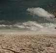 Calor extremo y sequía, entre los efectos del calentamiento global y la crisis climática.