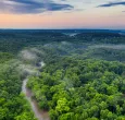 Deforestación en Colombia se redujo 36% en el último año, según MinAmbiente