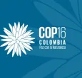 COP 16