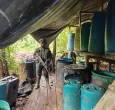 Ejército desmantela cuatro laboratorios en el Cauca, que producían más de seis toneladas de droga al mes
