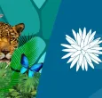 Colombia promociona la COP16 en Londres